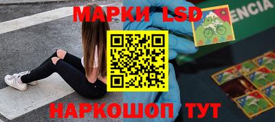 крисы Гатчина