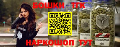 крисы Гатчина