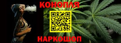 крисы Гатчина