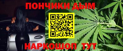 крисы Гатчина