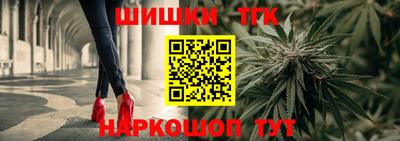 крисы Гатчина