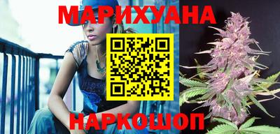 крисы Гатчина