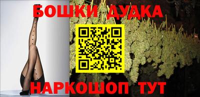 крисы Гатчина